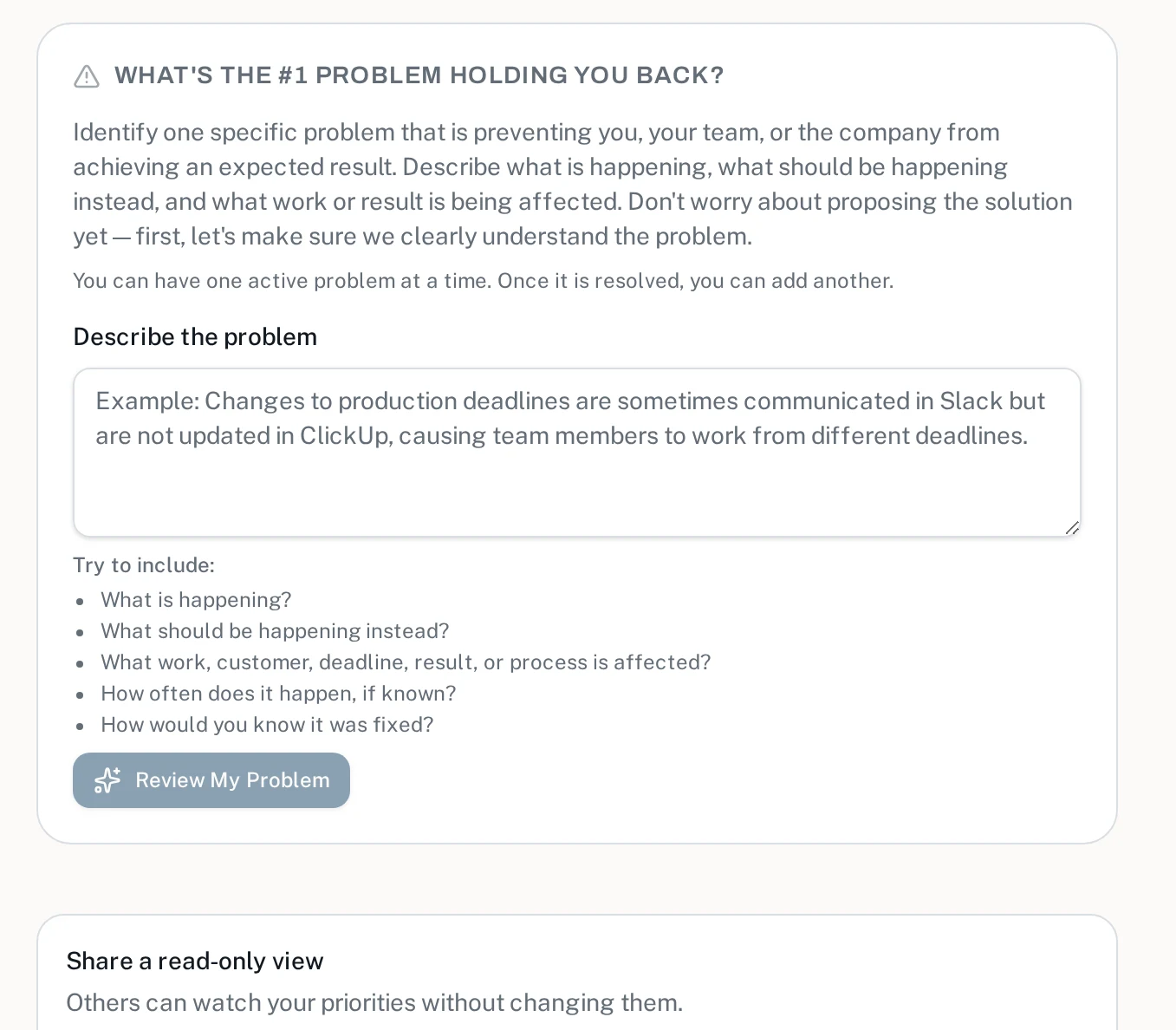 The #1 problem form asking what's holding you back, with an example and coaching prompts
